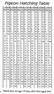 Egg Hatching Chart